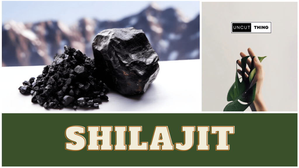 shilajit increases stamina